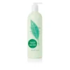 Elizabeth Arden Green Tea Body Lotion 500ml