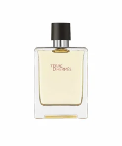 Hermes Terre d'Hermes Eau de Toilette Spray 100 ml