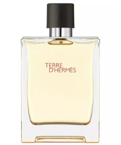 Hermes Terre d'Hermes Eau de Toilette Spray 200ml