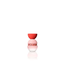 El Ganso Fun y Chic Edp 100 Spray